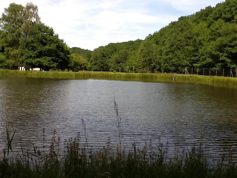 Chalet De Luve Vireux-Wallerand ภายนอก รูปภาพ