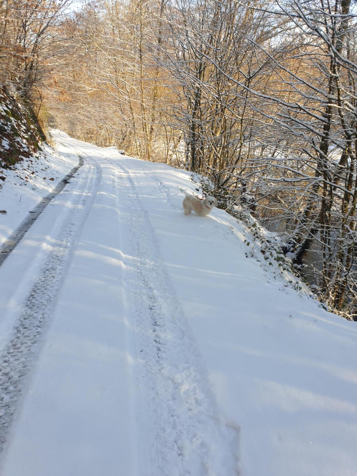 Chalet De Luve Vireux-Wallerand ภายนอก รูปภาพ