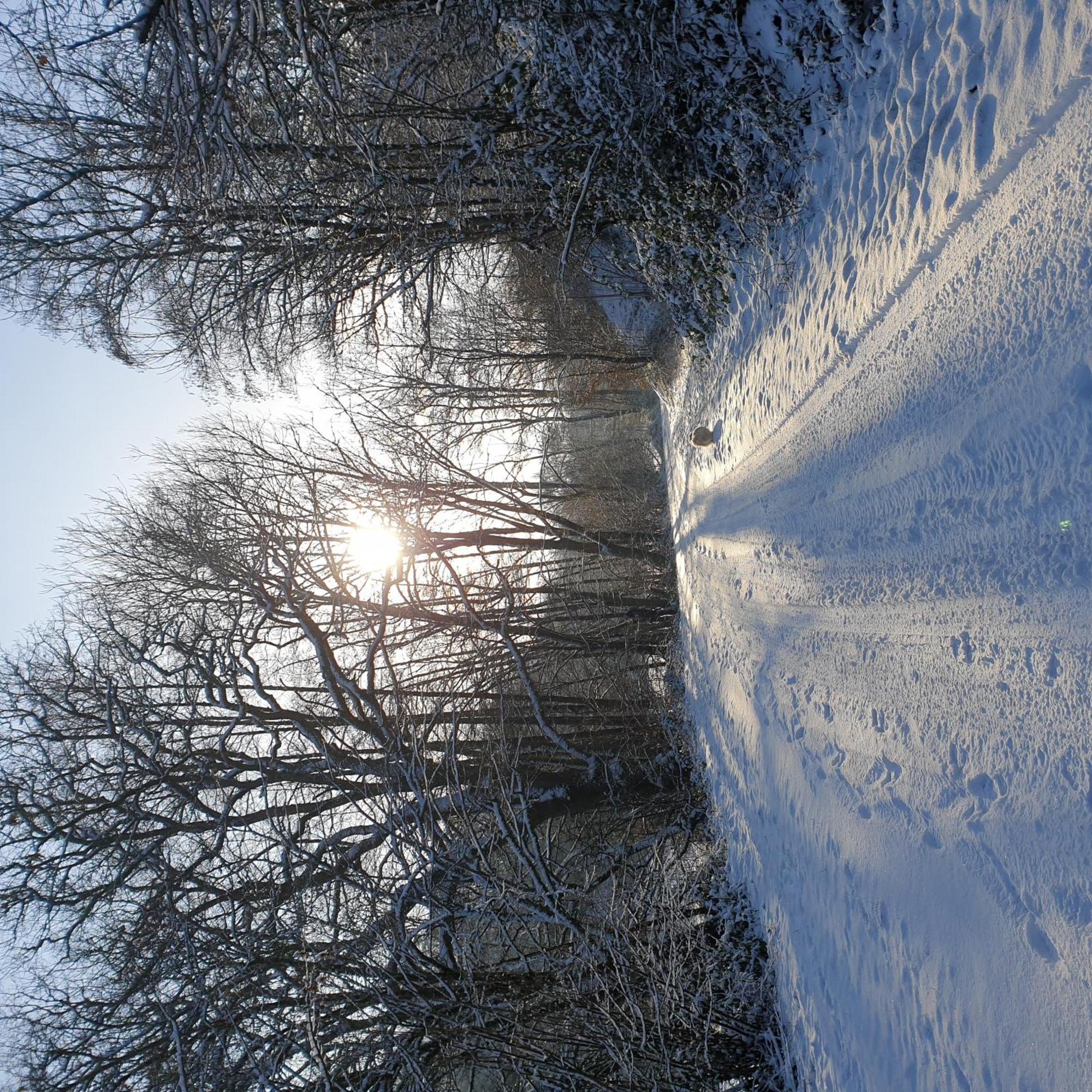 Chalet De Luve Vireux-Wallerand ภายนอก รูปภาพ